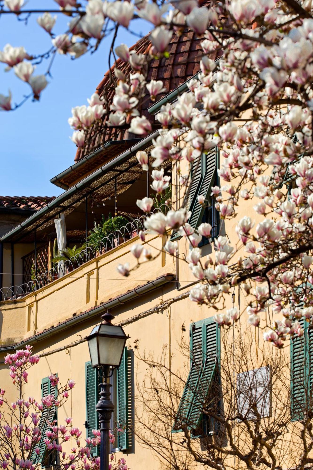 Casa San Girolamo Historic Flat With Cosy Terrace In Lucca'S City Centre Eksteriør billede