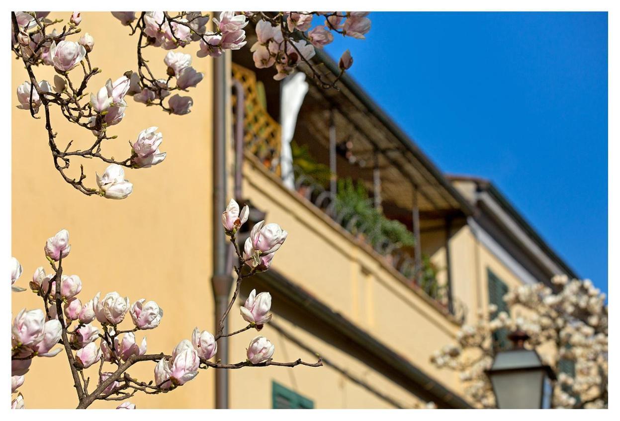 Casa San Girolamo Historic Flat With Cosy Terrace In Lucca'S City Centre Eksteriør billede