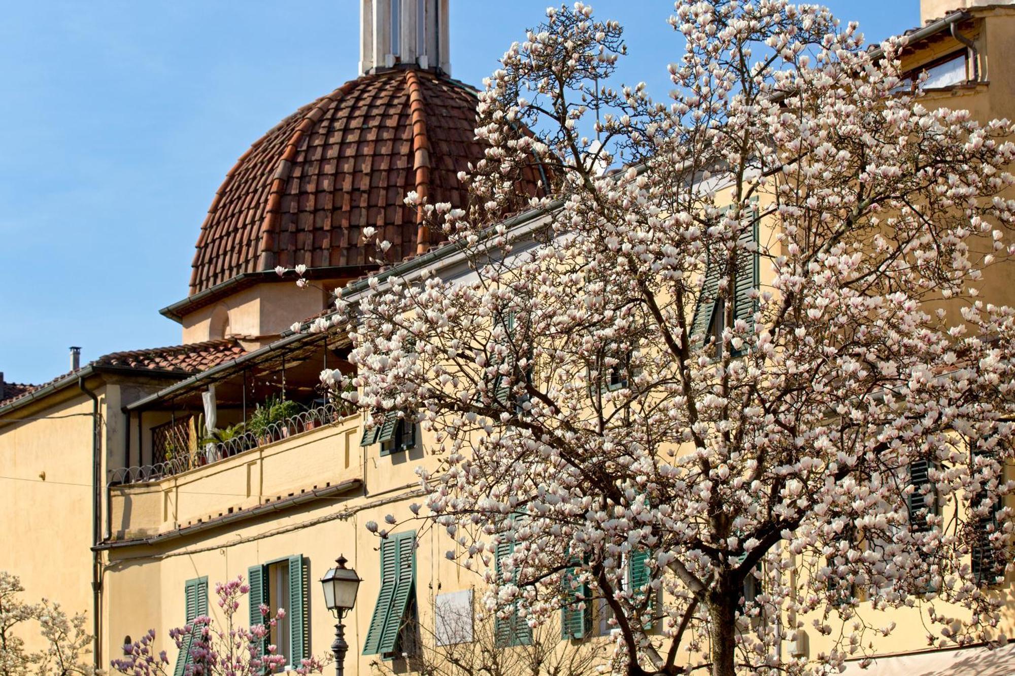 Casa San Girolamo Historic Flat With Cosy Terrace In Lucca'S City Centre Eksteriør billede